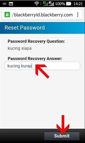 Cara Reset Password BBM Langsung di HP Android 7