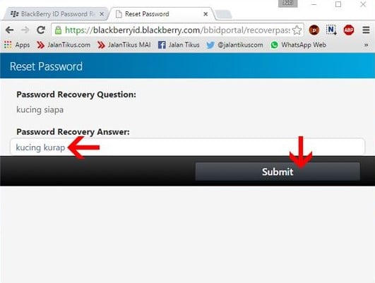 Cara Reset Password BBM di HP Android Lewat PCLaptop 9
